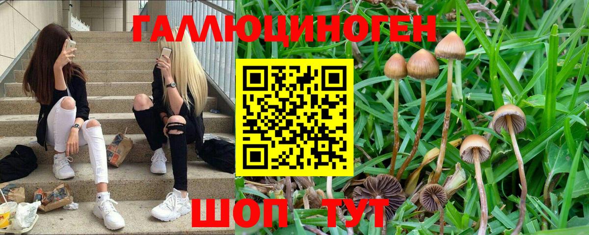 Галлюциногенные грибы мухоморы Корсаков