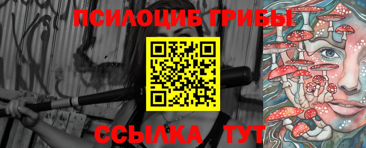 Галлюциногенные грибы мицелий  Вход с VPN  Корсаков  Псилоцибиновые грибы мицелий 
